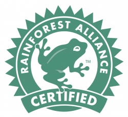 Rainforest Alliance или зеленая лягушка