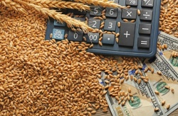 Данные о рынке органического сельского хозяйства
